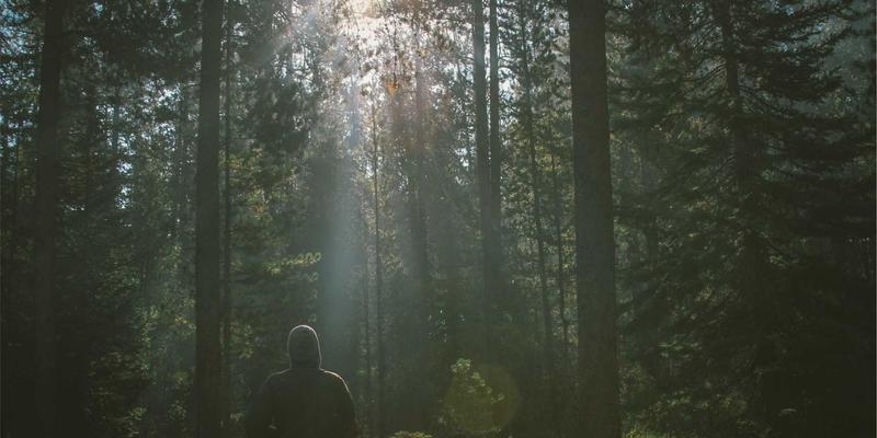 出租房智能锁管理方案：临时密码、使用记录与远程授权的安防实践