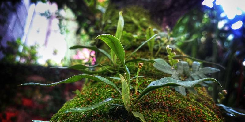 北欧设计智能锁如何选？深度解析Zigbee、Z-Wave、蓝牙与Wi-Fi四大无线协议优劣