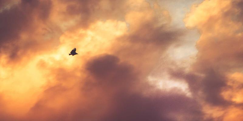 北欧设计邂逅智能科技：岩浆锁如何重新定义入户美学与安全