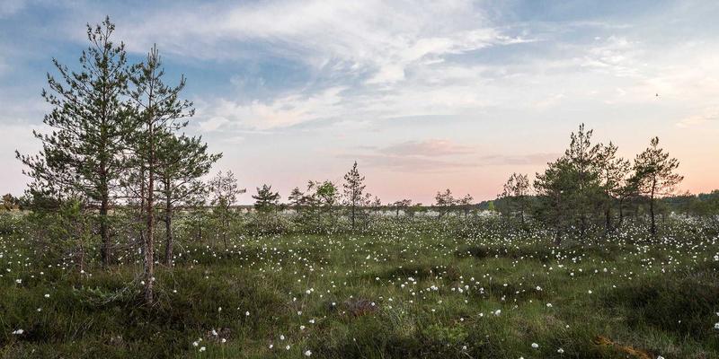 岩浆锁：当北欧极简设计邂逅智能门锁，重新定义入户美学与安全