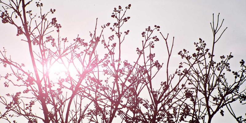 智能锁25：当北欧极简设计邂逅智能家居安全美学