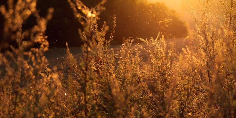 智能锁28:融合北欧设计的家庭安防新标杆