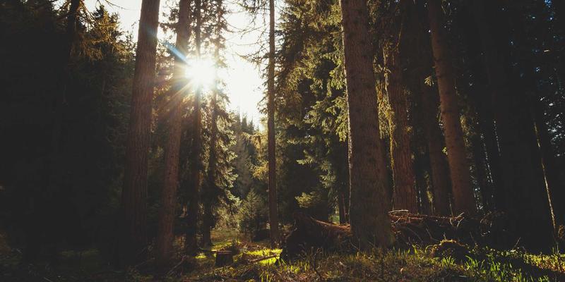 智能锁35:从传统门锁到岩浆锁的智能安防革命