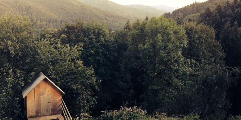 智能锁55:重塑家庭安防与智能家居生活的核心入口