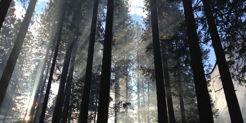 智能锁61:当北欧极简设计邂逅火山岩铸造的守护艺术