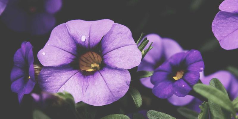 智能锁64:智能家居安全的核心,为何岩浆锁成为新一代门锁标杆?