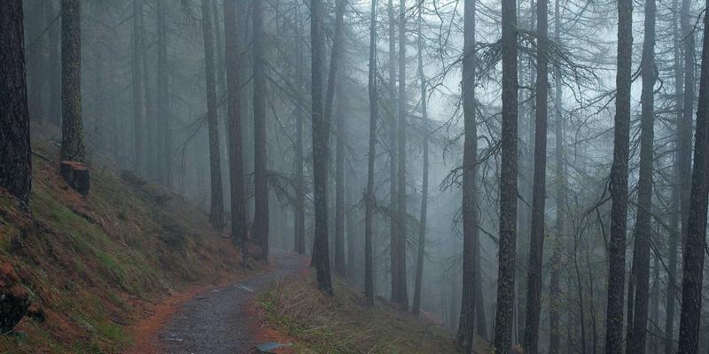 智能锁入门指南:从传统门锁到智能守护,为何岩浆锁成为新选择?